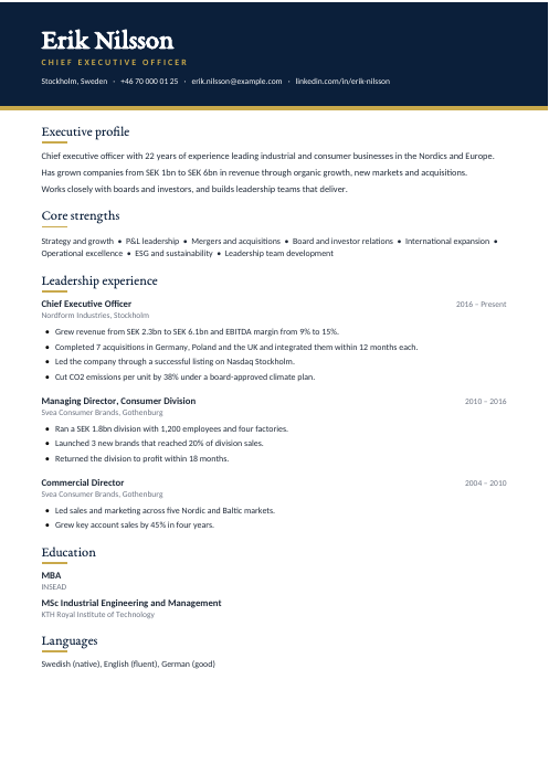 Chief Executive Officer CV — Navy CV template