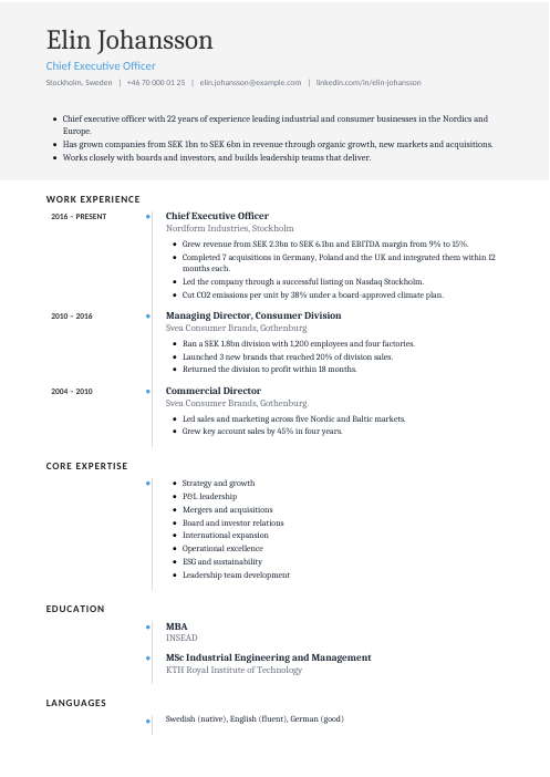 Chief Executive Officer CV — Timeline CV template