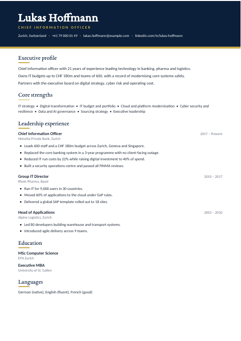 Chief Information Officer CV — Navy CV template