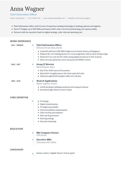 Chief Information Officer CV — Timeline CV template