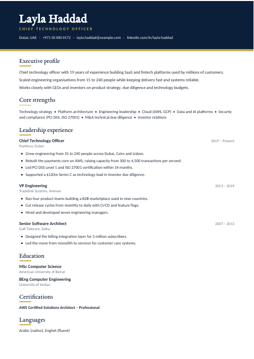 Chief Technology Officer CV — Navy CV template