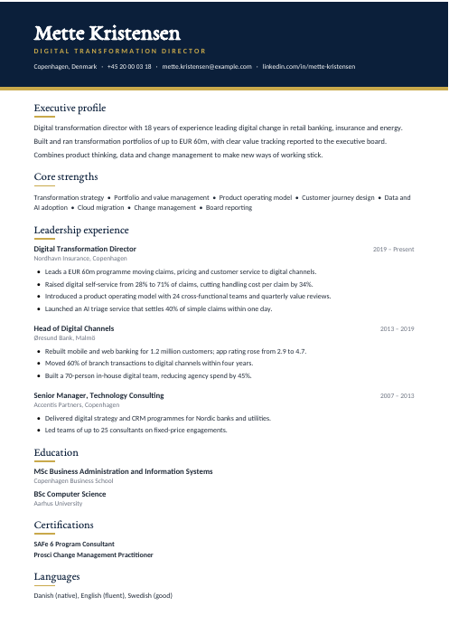 Digital Transformation Director CV — Navy CV template