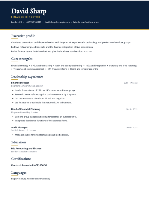 Finance Director CV — Navy CV template