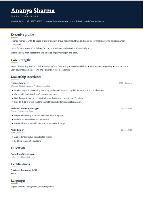 Finance Manager CV — Navy CV template