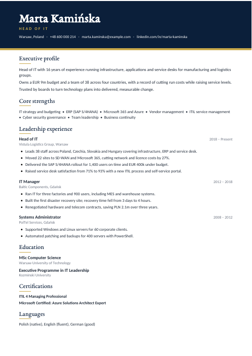 Head of IT CV — Navy CV template