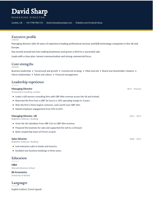 Managing Director CV — Navy CV template