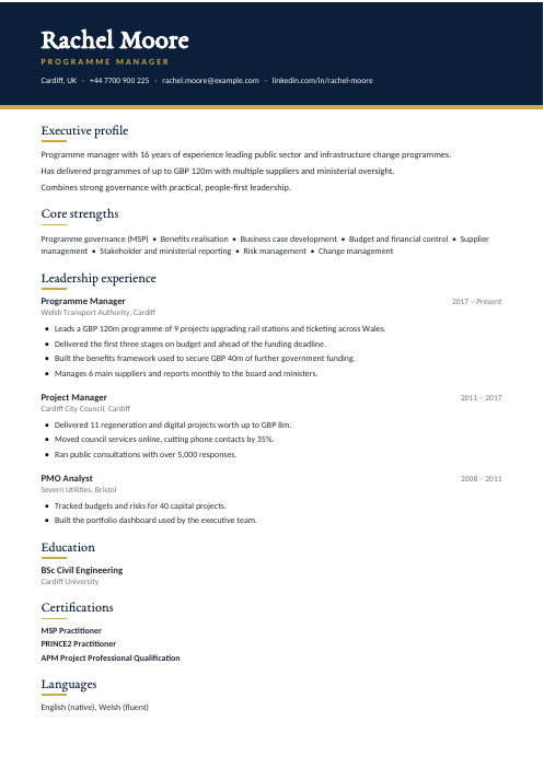 Programme Manager CV — Navy CV template