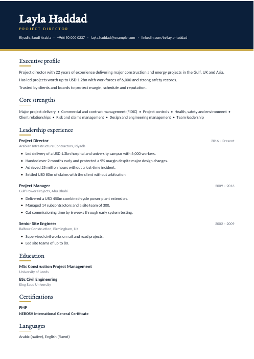 Project Director CV — Navy CV template