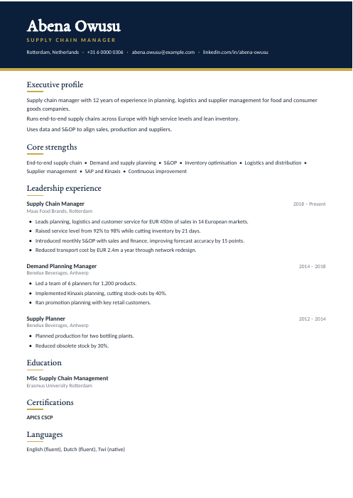 Supply Chain Manager CV — Navy CV template